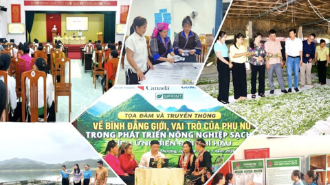 Lào Cai dự kiến bố trí gần 25 nghìn tỷ đồng hỗ trợ phụ nữ khởi nghiệp giai đoạn 2026-2035