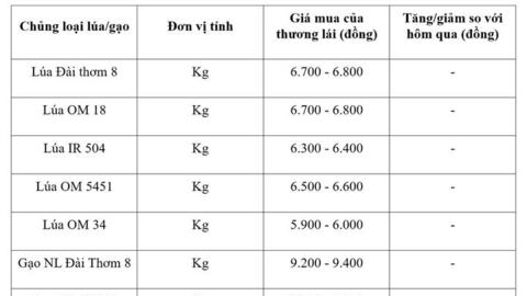 Giá lúa gạo hôm nay ngày 30/8, tuần qua: Lúa, gạo xuất khẩu biến động