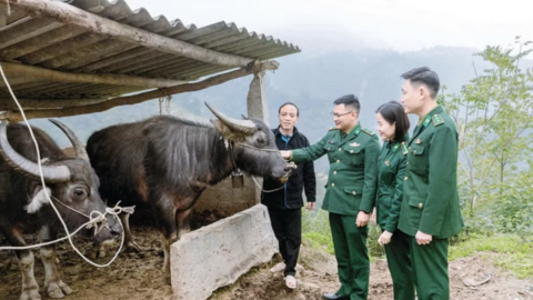 Điểm tựa để đồng bào vùng biên vươn lên thoát nghèo