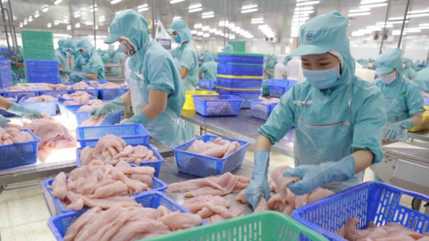 Nâng cao hiệu quả tiết kiệm năng lượng cho nhà máy thủy sản