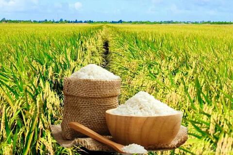 <a href="/thong-tin-thi-truong" title="Thông tin thị trường" rel="dofollow">Thông tin thị trường</a>