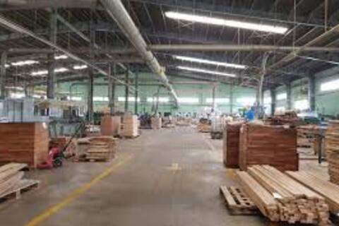 Gánh lỗ hàng nghìn tỷ, doanh thu lao dốc, Gỗ Trường Thành vẫn đặt mục tiêu lãi 50 tỷ đồng trong năm 2025