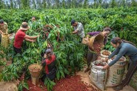 <a href="/kinh-te" title="Kinh tế" rel="dofollow">Kinh tế</a>