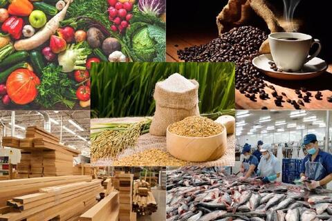 5 năm thực thi EVFTA: Xuất khẩu nông, lâm, thủy sản hưởng lợi lớn