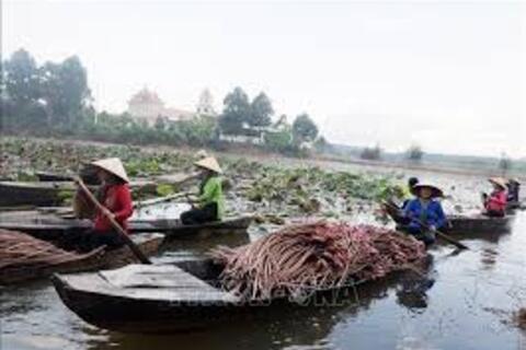 Khai thác lợi thế đa dạng, Tây Ninh tăng tốc phát triển du lịch