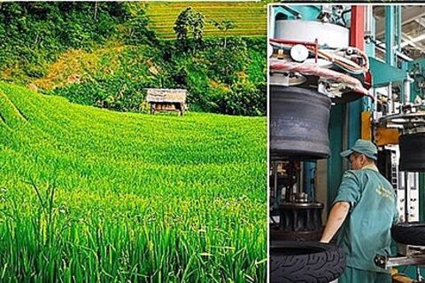 Thu NSNN từ hoạt động XNK đạt gần 300.000 tỷ đồng