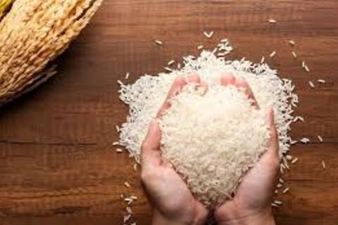 Giá lúa gạo hôm nay ngày 18/9: Gạo xuất khẩu biến động, lúa vững giá