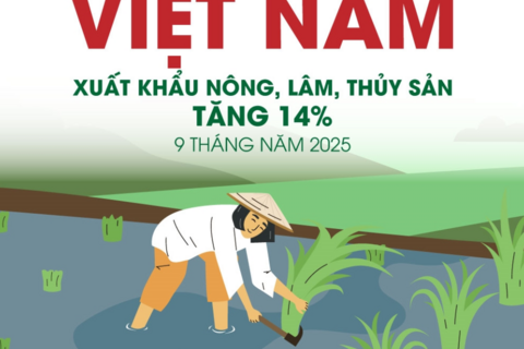 Xuất khẩu nông, lâm, thủy sản của Việt Nam tăng 14% trong 9 tháng năm 2025