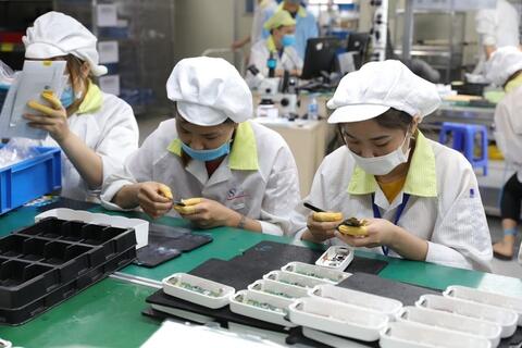 Phú Thọ: Phấn đấu vượt mục tiêu tăng trưởng GRDP Chính phủ giao