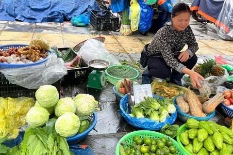 Bão đi qua, thị trường rau củ “đứng ngồi không yên”