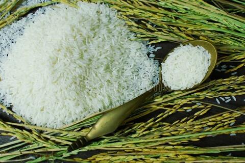 <a href="/thong-tin-thi-truong" title="Thông tin thị trường" rel="dofollow">Thông tin thị trường</a>