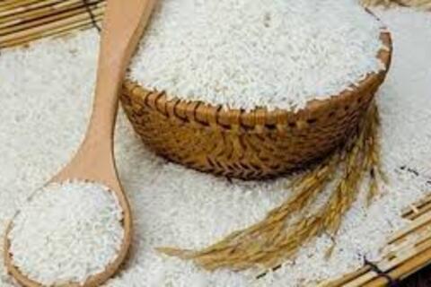 Giá lúa gạo hôm nay ngày 30/10: Gạo bình ổn, lúa tươi vững giá