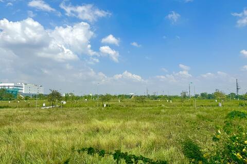 Đề nghị rà soát quy định thu hồi và giá đất trong Dự thảo Nghị quyết gỡ vướng thi hành Luật Đất đai