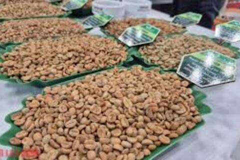 <a href="/thong-tin-thi-truong" title="Thông tin thị trường" rel="dofollow">Thông tin thị trường</a>