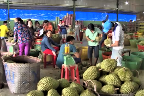 <a href="/kinh-te" title="Kinh tế" rel="dofollow">Kinh tế</a>