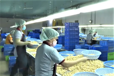 <a href="/kinh-te" title="Kinh tế" rel="dofollow">Kinh tế</a>