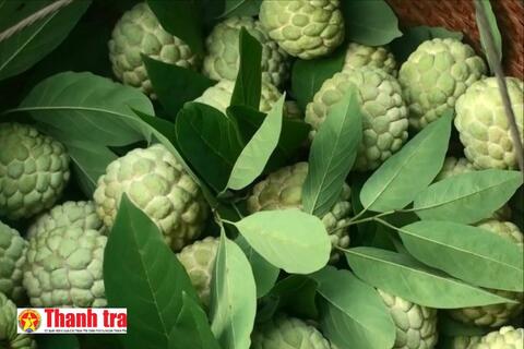 <a href="/dau-tu" title="Đầu tư" rel="dofollow">Đầu tư</a>