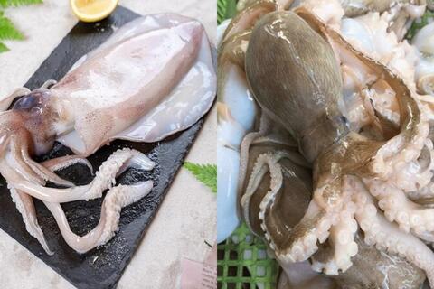 Xuất khẩu mực, bạch tuộc lập kỷ lục nhờ sản phẩm tiện lợi