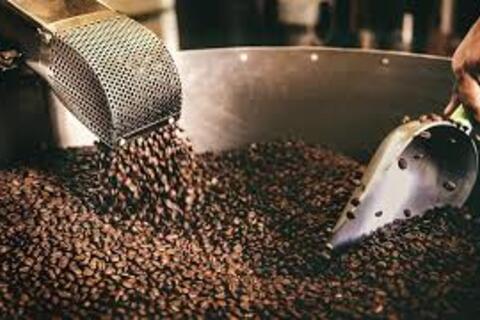 Giá cà phê thế giới giảm mạnh khi nguồn cung đầu vụ gia tăng