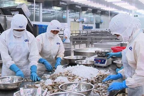 Miễn thuế thu nhập doanh nghiệp: Cú hích mới cho ngành thủy sản Việt Nam