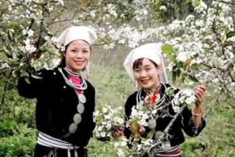 Lễ hội hoa lê Hồng Thái - điểm hẹn mùa Xuân vùng cao Tuyên Quang