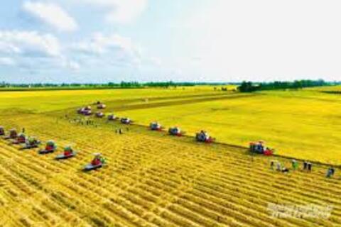 <a href="/kinh-te" title="Kinh tế" rel="dofollow">Kinh tế</a>