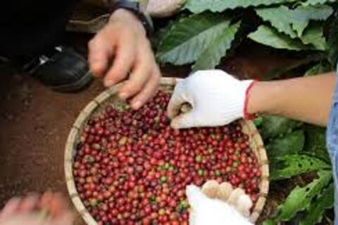 <a href="/thong-tin-thi-truong" title="Thông tin thị trường" rel="dofollow">Thông tin thị trường</a>