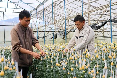 <a href="/thong-tin-thi-truong" title="Thông tin thị trường" rel="dofollow">Thông tin thị trường</a>