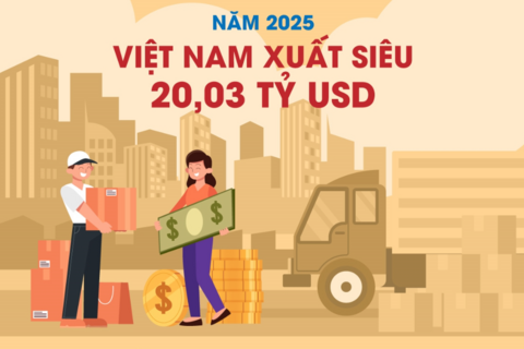 Năm 2025 Việt Nam xuất siêu 20,03 tỷ USD