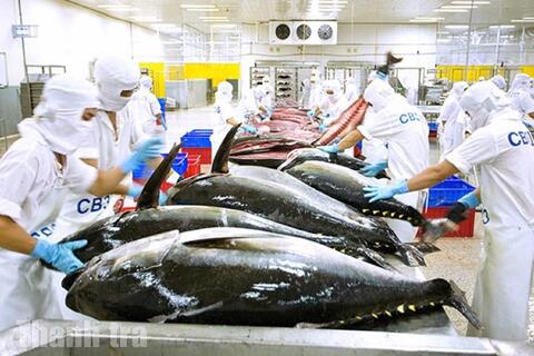 <a href="/kinh-te" title="Kinh tế" rel="dofollow">Kinh tế</a>