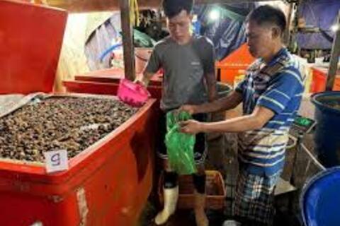 Triệt phá đường dây sơ chế, tiêu thụ thịt ốc bươu ngâm hóa chất công nghiệp với số lượng lớn