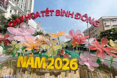 TP Hồ Chí Minh: Xuân về trên những chợ hoa