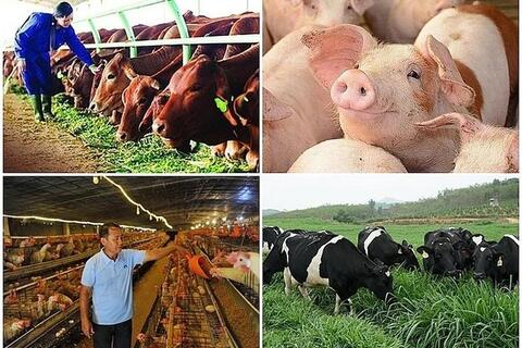 <a href="/xuc-tien" title="Xúc tiến" rel="dofollow">Xúc tiến</a>