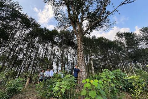 <a href="/kinh-te" title="Kinh tế" rel="dofollow">Kinh tế</a>