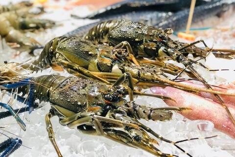 <a href="/kinh-te" title="Kinh tế" rel="dofollow">Kinh tế</a>