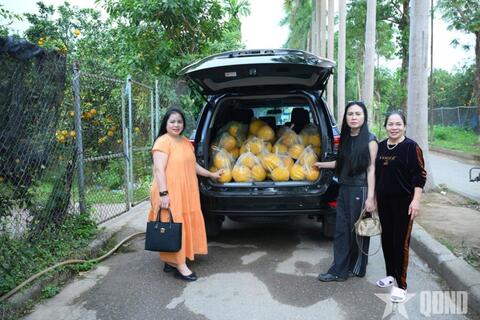 Bưởi Diễn vào vụ Tết