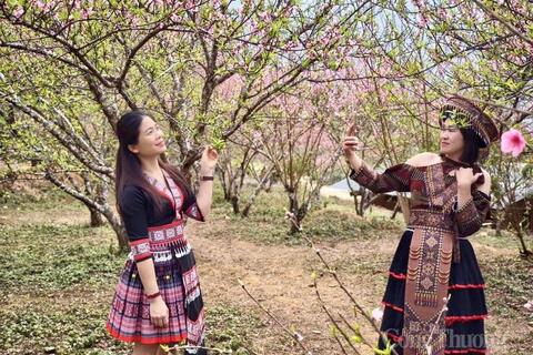 <a href="/tin-24h" title="Tin 24h" rel="dofollow">Tin 24h</a>