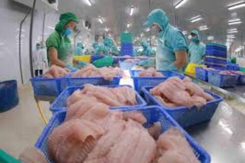 Xuất khẩu hàng hóa Việt Nam sang Pakistan tăng 19%