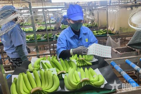 <a href="/kinh-te" title="Kinh tế" rel="dofollow">Kinh tế</a>