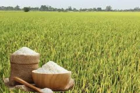 <a href="/thong-tin-thi-truong" title="Thông tin thị trường" rel="dofollow">Thông tin thị trường</a>