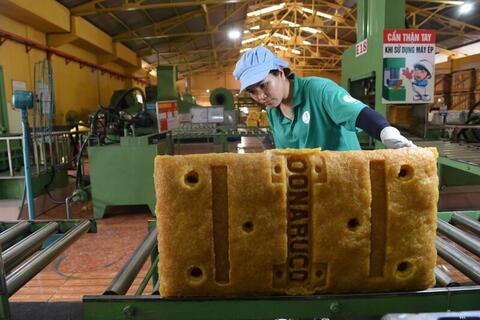 Cao su Đồng Nai phê duyệt kế hoạch mua sắm năm 2026 hơn 102 tỷ đồng