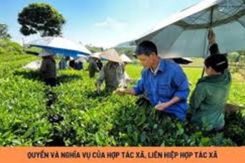 <a href="/xuc-tien" title="Xúc tiến" rel="dofollow">Xúc tiến</a>