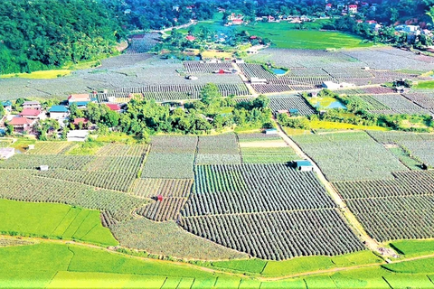 Sơn La: Nông thôn chuyển mình, kinh tế bứt nhịp