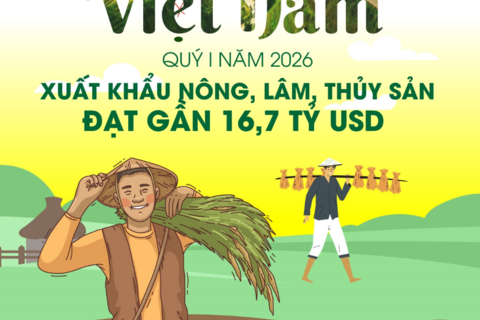 Xuất khẩu nông, lâm, thủy sản đạt gần 16,7 tỷ USD trong quý I năm 2026