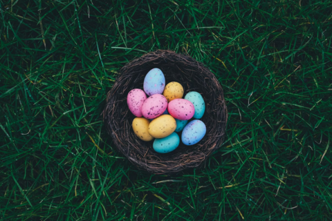 Đức: Cây đổ trong lễ săn trứng Phục Sinh, 3 người thiệt mạng