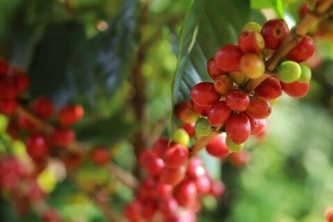 <a href="/thong-tin-thi-truong" title="Thông tin thị trường" rel="dofollow">Thông tin thị trường</a>