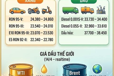 <a href="/thong-tin-thi-truong" title="Thông tin thị trường" rel="dofollow">Thông tin thị trường</a>