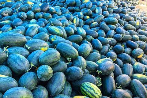 <a href="/thong-tin-thi-truong" title="Thông tin thị trường" rel="dofollow">Thông tin thị trường</a>