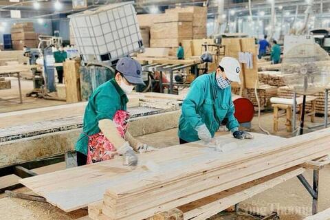 Gia Lai 'chọn mặt gửi vàng', kiến tạo lực lượng doanh nghiệp dẫn dắt