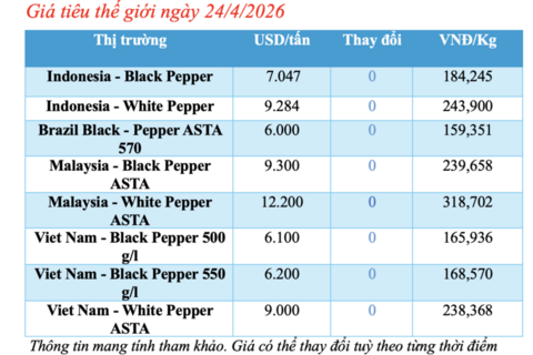 <a href="/thong-tin-thi-truong" title="Thông tin thị trường" rel="dofollow">Thông tin thị trường</a>